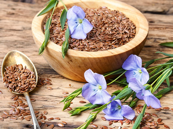 лен в деревянной чашке, цветы льна