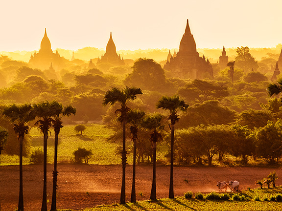 Принцип варн. Структура устройства допотопного общества Антики