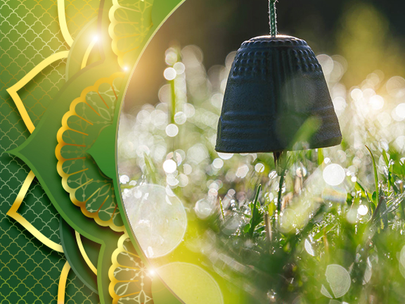 Фотографии