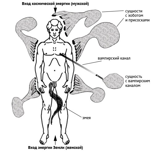 лярвы, инкубы, суккубы, энергетические паразиты