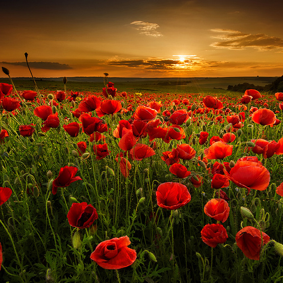 Музыка для релаксации. Часть 2