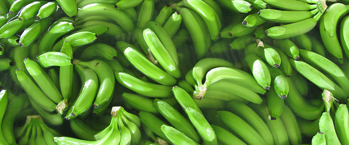 Что не так с бананами