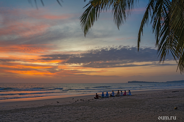 плантации чая на шри ланке