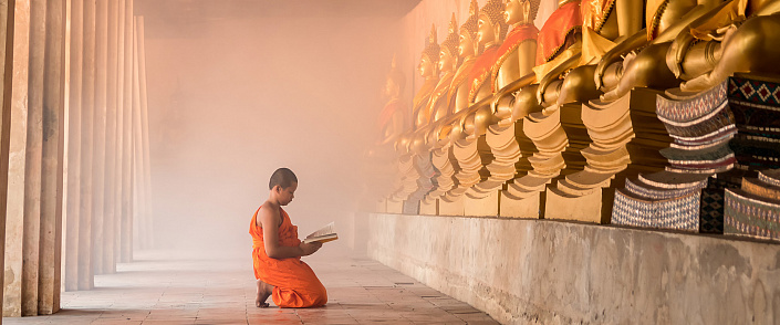 монах мальчик с писаниями у статуи будд