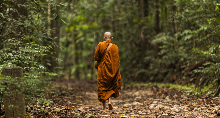 странник, йог, монах