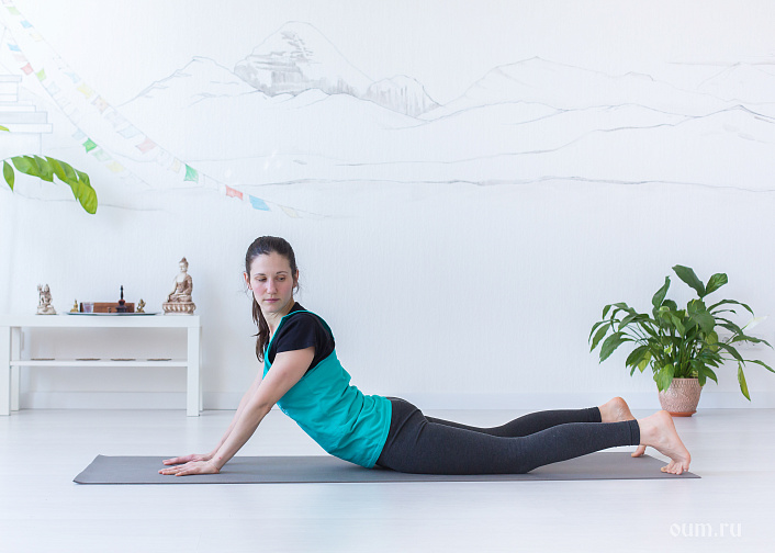 Тирьяка Бхуджангасана, асаны, шаткармы, йога