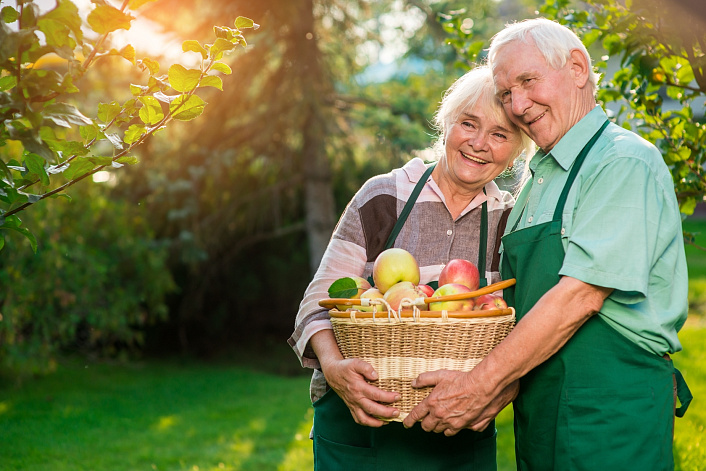 пожилые люди с корзикой яблок фото