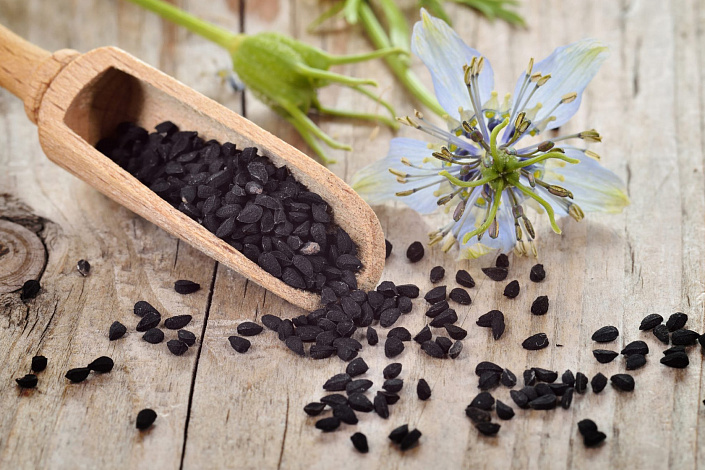 Чёрный тмин фото