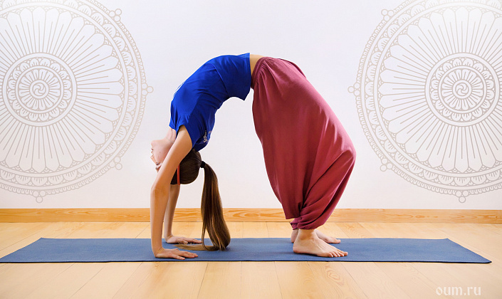 Йога для позвоночника — топ лучших асан для укрепления спины и избавления от болей