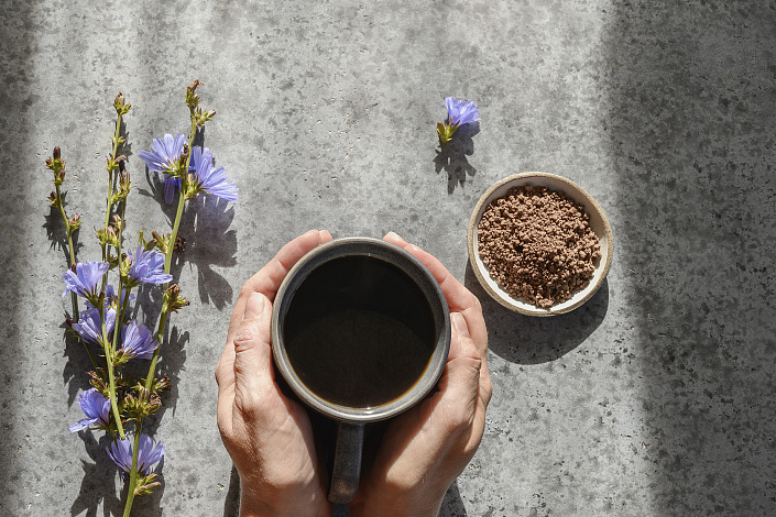 Напиток из обжаренных корней цикория фото