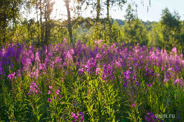 Фото 4 Сборка