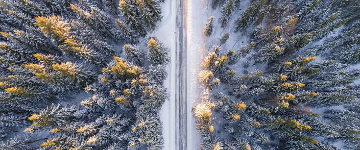 Ученые не могут понять причины глобальной катастрофы 1465 года