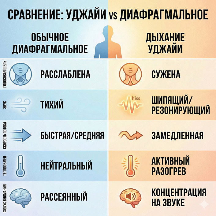 Инфографика сравнения техник йоги: таблица отличий дыхания Уджайи и диафрагмального по звуку, теплу и работе голосовой щели
