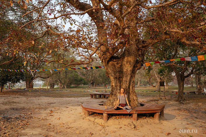 девушка медитирует под деревом