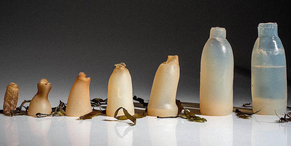 Бутылка из водорослей решит проблемы экологии