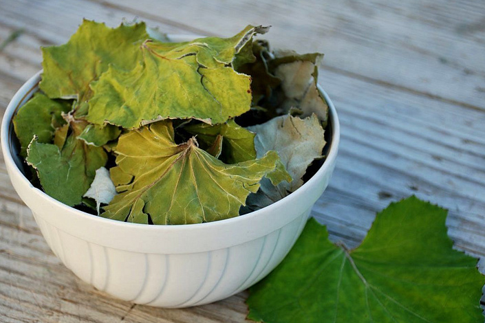 Целительная сила листьев мать-и-мачехи фото