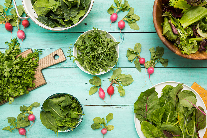 свежая зелень фото