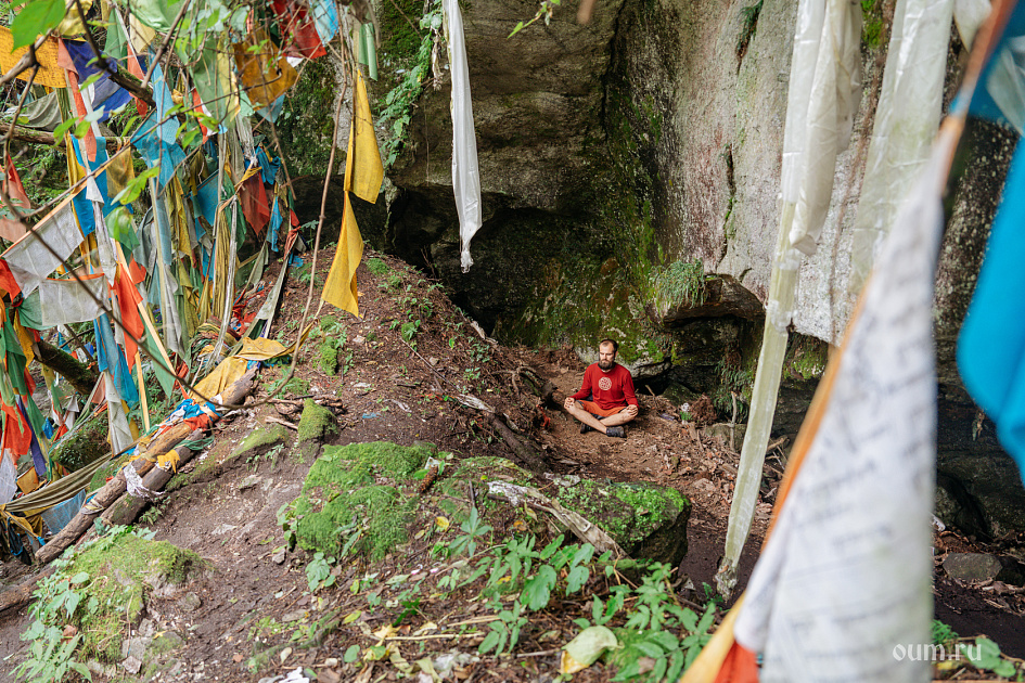 медитация в лесу фото