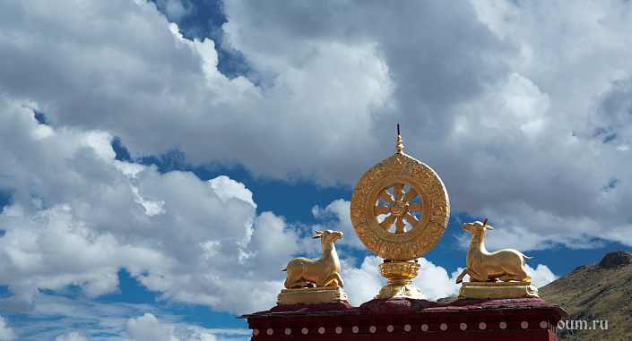 колесница учений