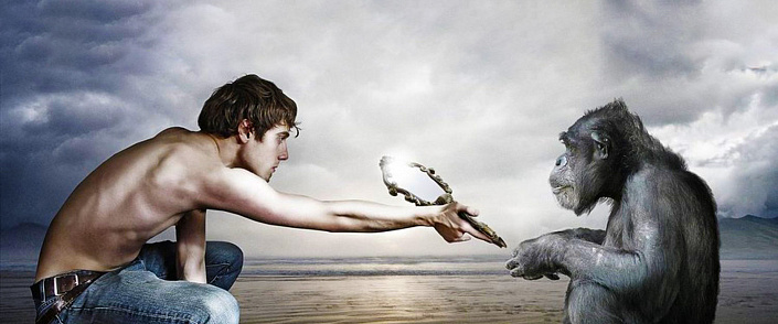 Теория инволюции Александра Белова: обезьяны произошли от людей