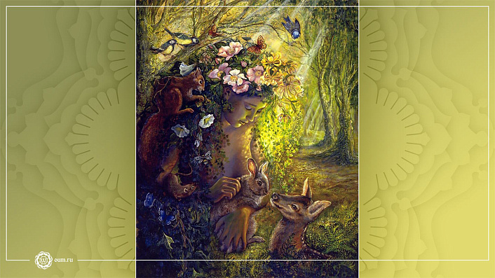 Фото 6  Притхиви