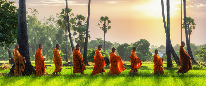 буддийские монахи идут