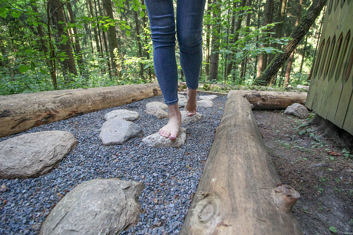 босоногая тропа лосиный остров фото