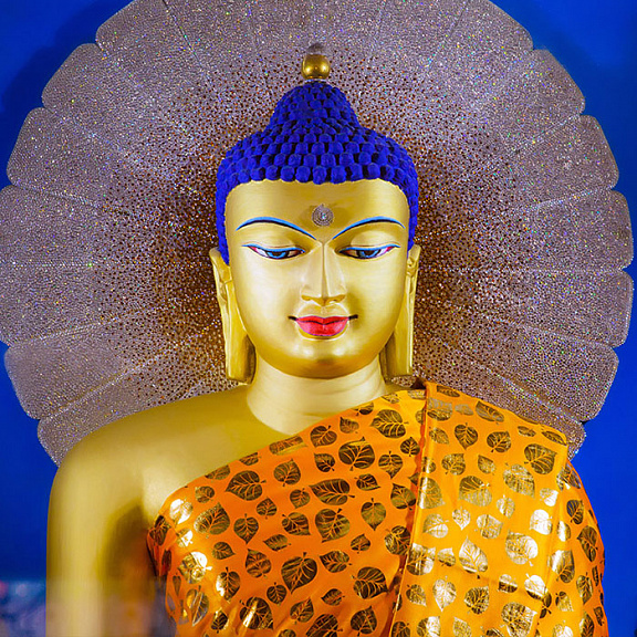 Отзывы о йога-туре в Индию и Непал