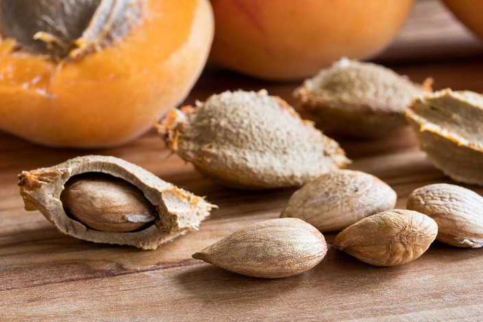 ядра абрикосовых косточек фото