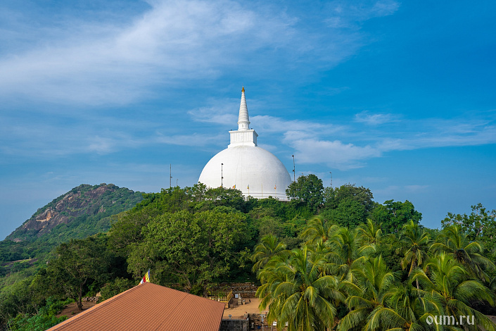 Огромная буддийская ступа (дагоба) на Шри-Ланке