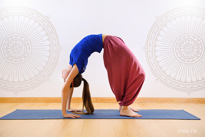 чакрасана фото