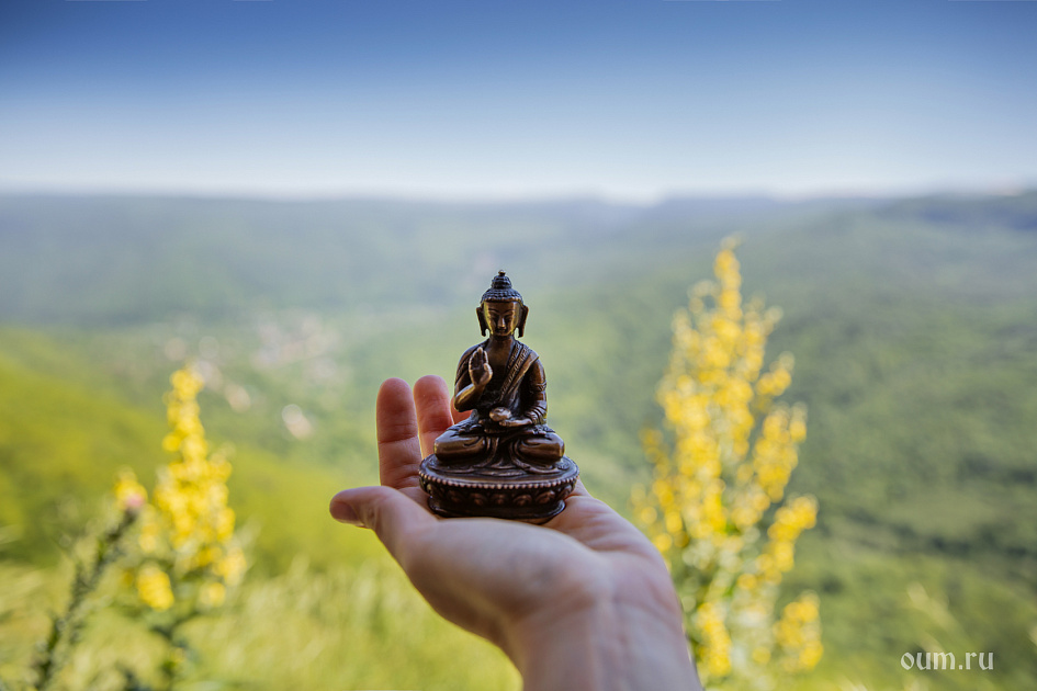 Будда, цветы