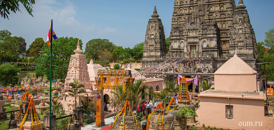 Махабодхи, Индия