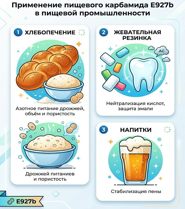 Инфографика применения пищевого карбамида E927b в хлебопечении и жевательной резинке