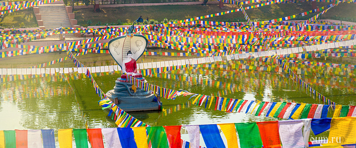 Джатака о мясе