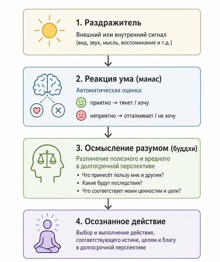 Схема обработки информации