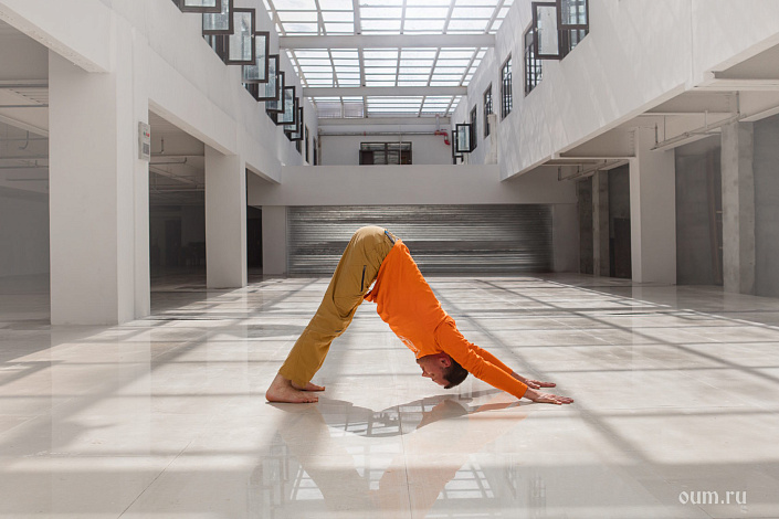 Фото 6 адхо-мукха-шванасана