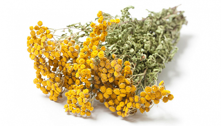 сухая пижма