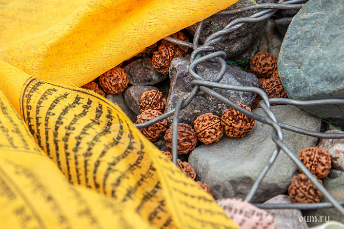 Рудракша фото