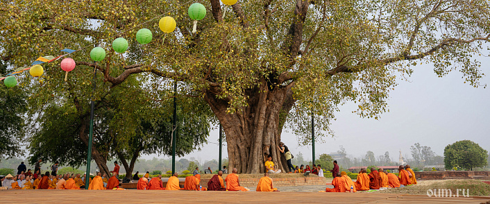 Джатака о чувствах