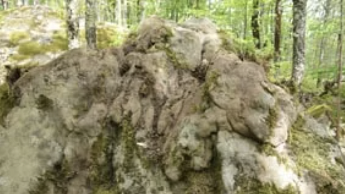 песчанник неслоистой структуры