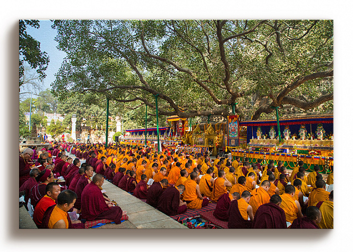 Бодхгая - Монахи у Дерева Бодхи