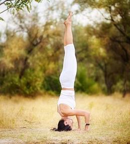 Виктория Котенко