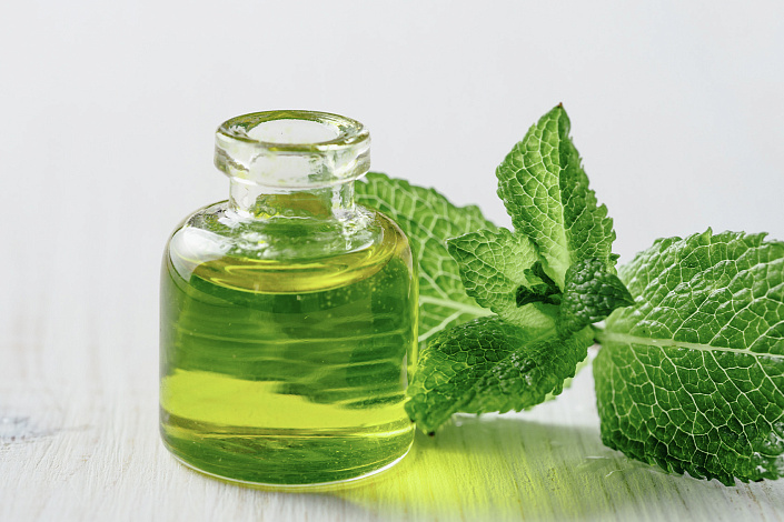 эфирное масло мелиссы фото