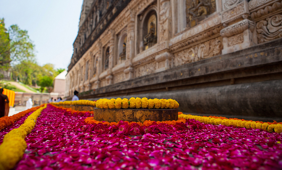 В Индии делают веганскую кожу из цветов, оставленных в храмах