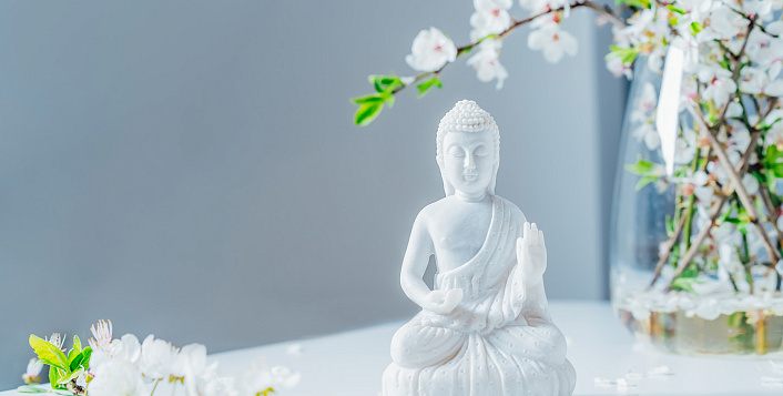 Принцип Шаучи в йоге [7 шагов к чистоте ума и тела]