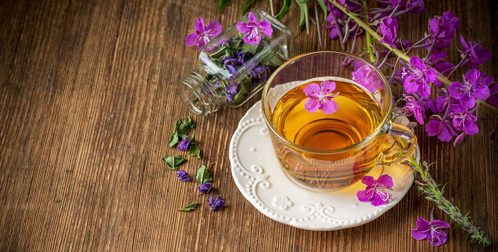 Польза и вред Иван-чая (кипрей): состав, противопоказания, как заваривать и пить