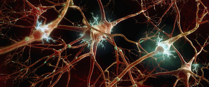 нейроны