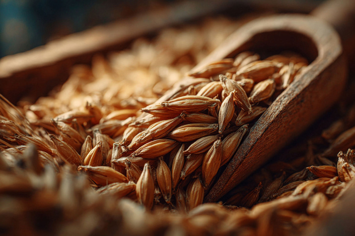 овёс в ложке