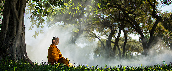 буддийский монах под деревом